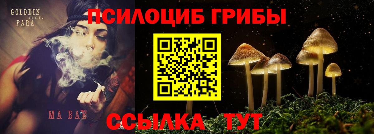 Тихвин  Псилоцибиновые грибы ЛСД  Вход с VPN 